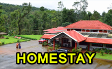 Homestay Package Tours