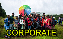 Corporate Package Tours